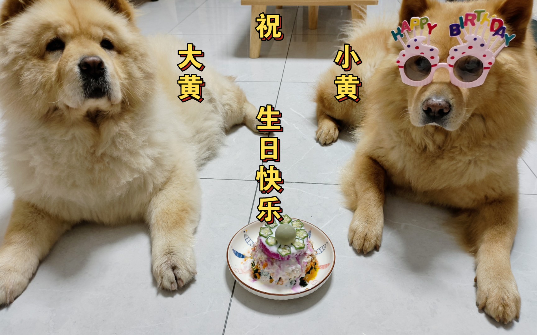 祝大小黄生日快乐!~哔哩哔哩bilibili