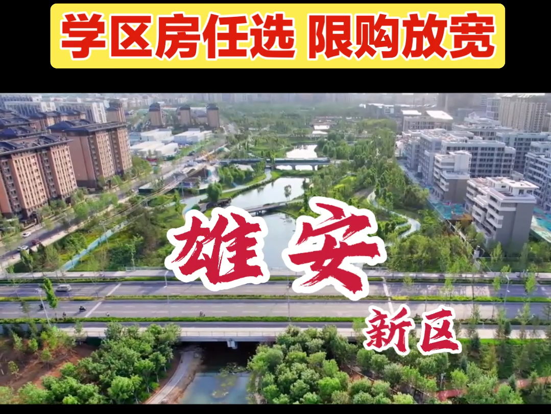 雄安房产新政:学区房任选,限购放宽哔哩哔哩bilibili