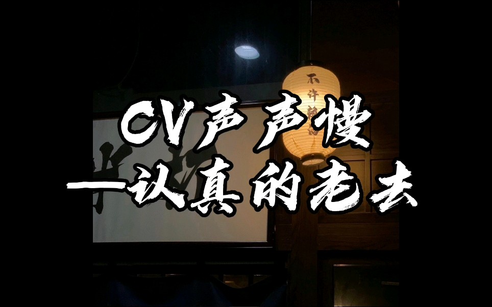 cv声声慢认真的老去