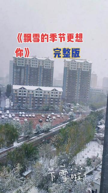 05一夜之間大地披上了銀裝,這座城市突然變冷了許多……一首《飄雪