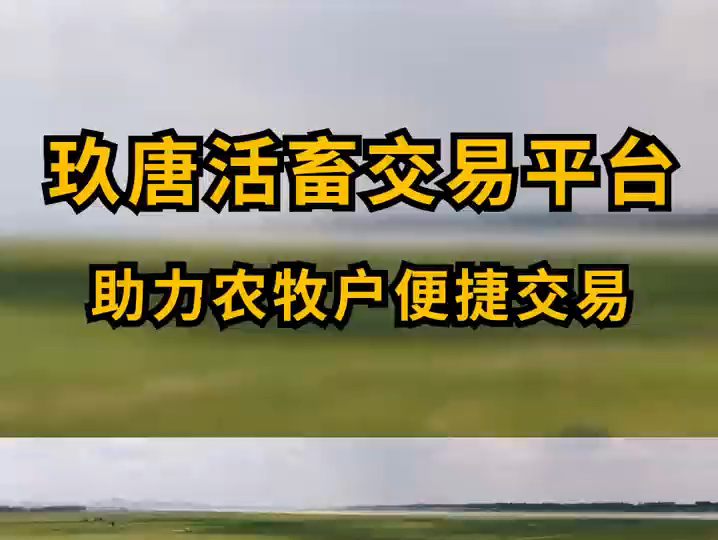 玖唐活畜交易平台通过现代信息技术实现便捷交易提供智能贷款解决资金难题,支持多种支付确保安全结算.利用大数据分析市场动态帮助农牧户决策,推动...