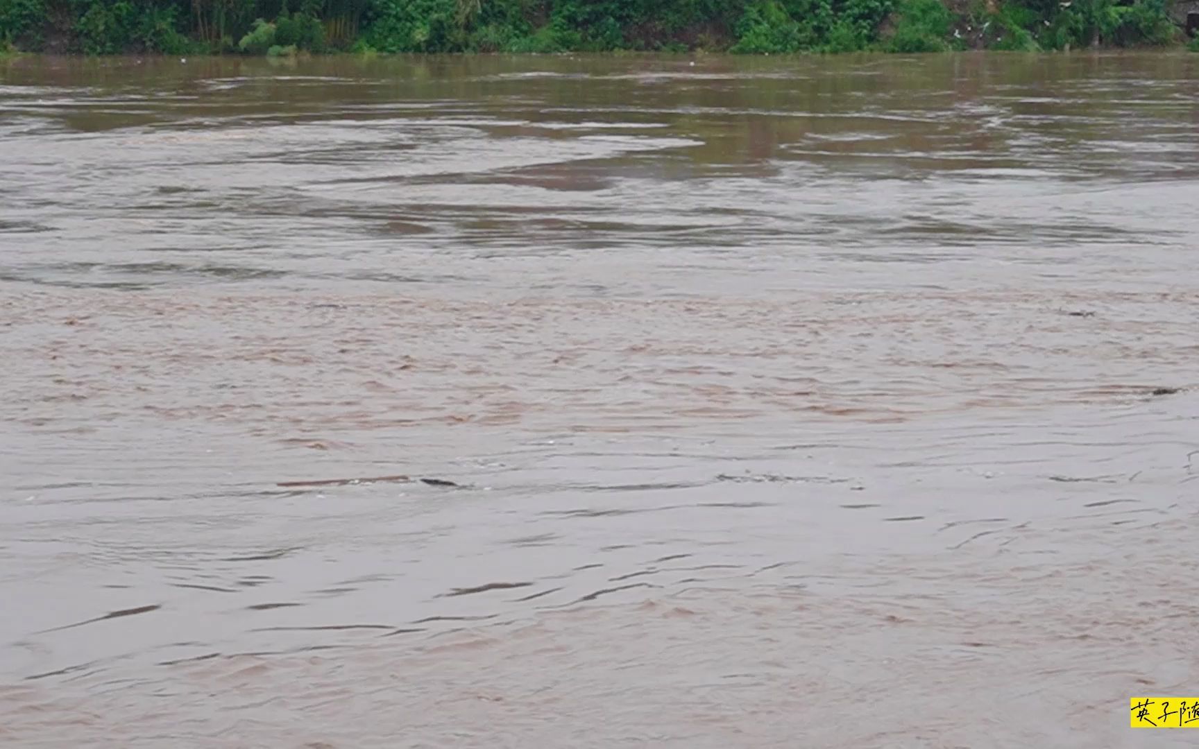 四川达州:重阳节后渠县三汇镇渠江迎来今年最大的洪水 洪峰17米