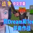 【Dream SMP/宠物战争/中文字幕】同Dream和Techno并肩作战