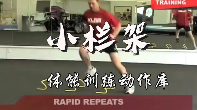 小栏架体能训练动作库