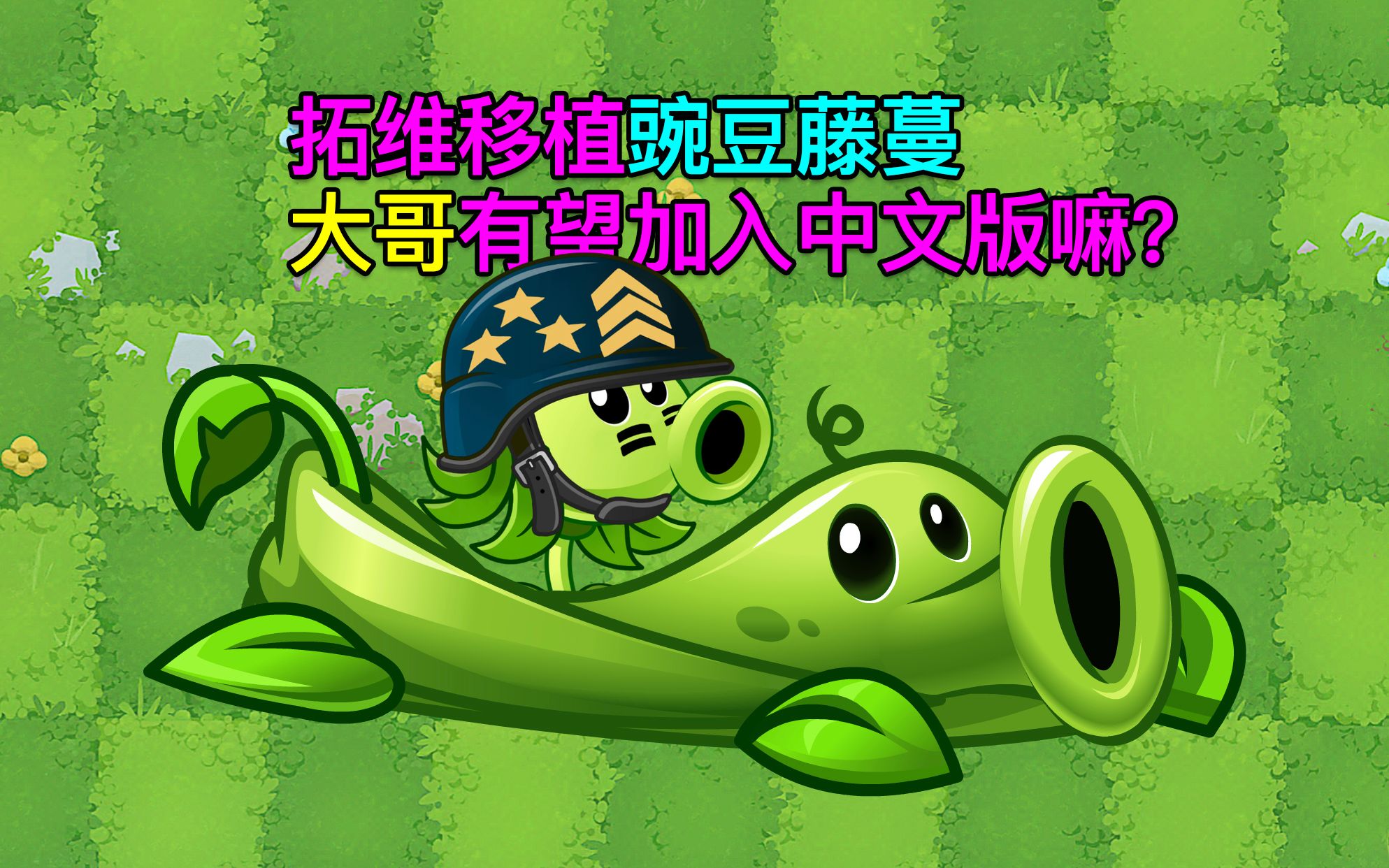 pvz资讯:锐评拓维刚移植的豌豆藤蔓!希望让大哥也加入中文版!