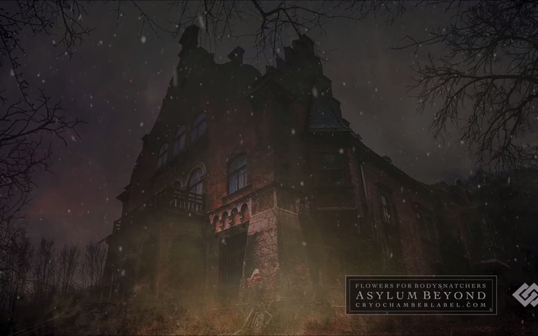 [图]【Dark Ambient】Flowers for Bodysnatchers - Asylum Beyond