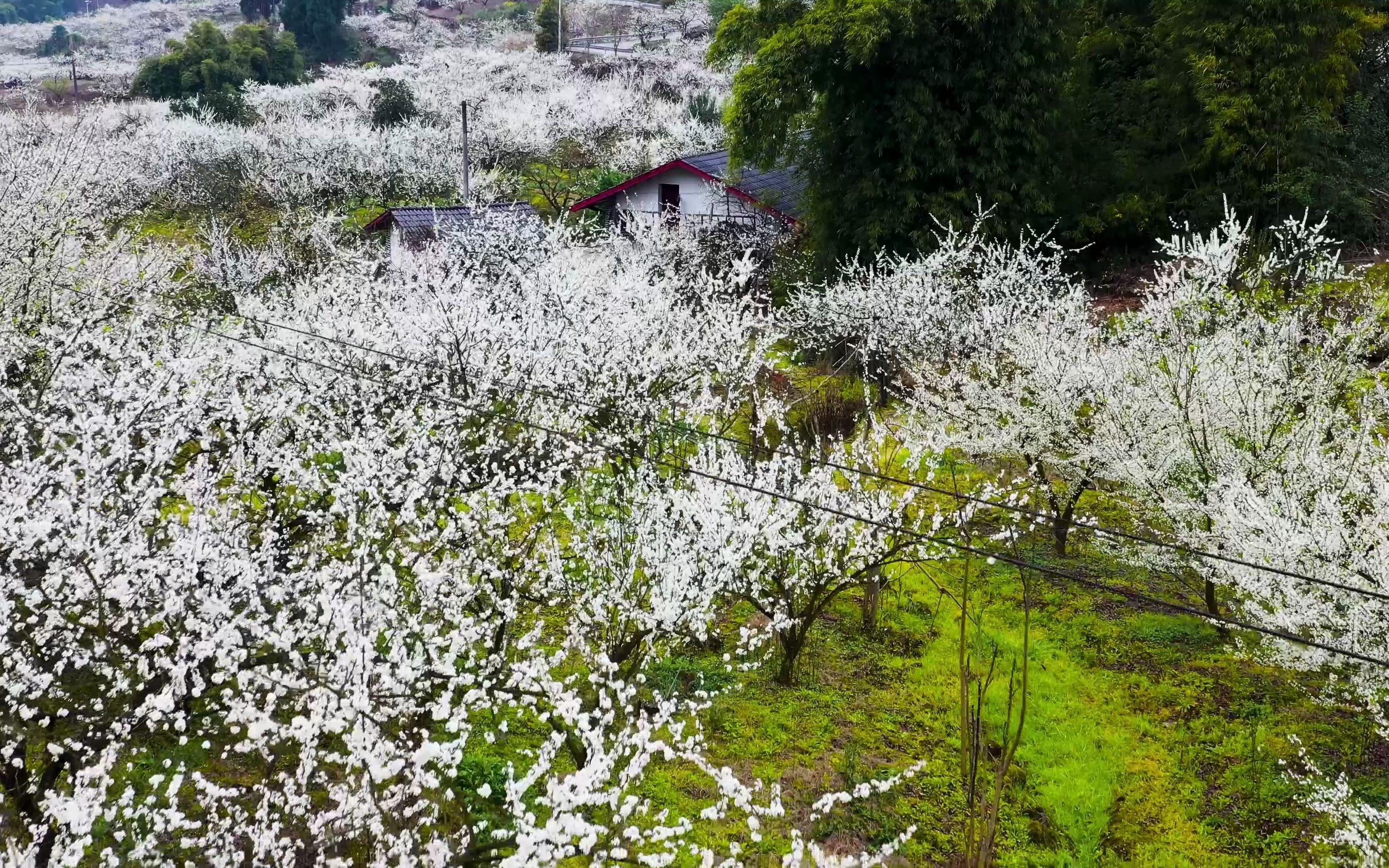 [图]世外桃源归隐山林3