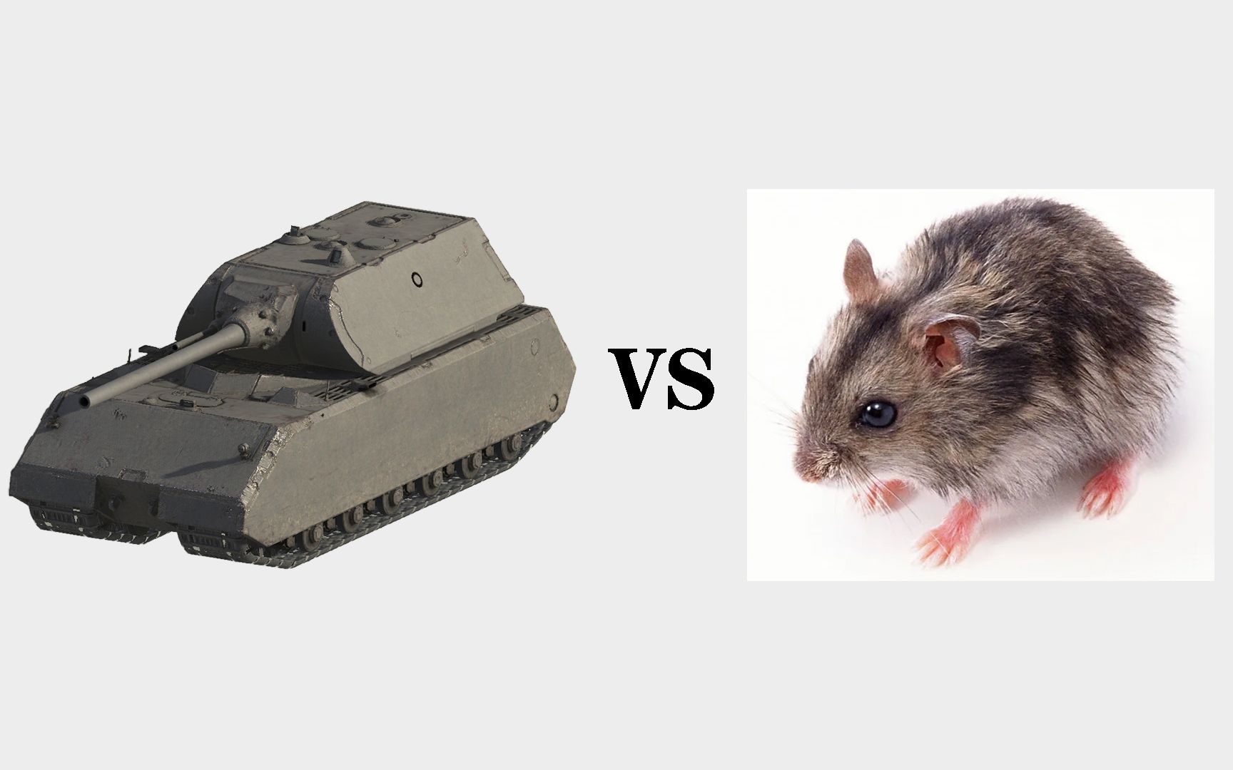 鼠式简笔画vs图片
