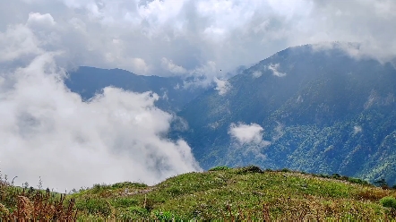 [图]夏天的百草坡