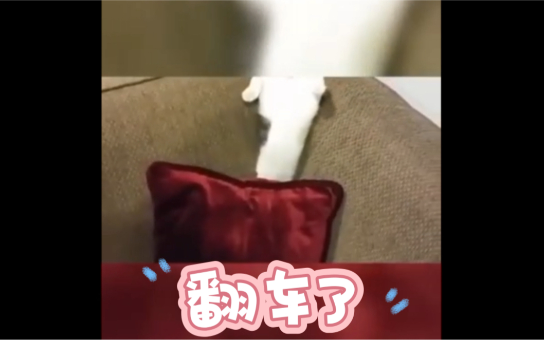 搞笑视频91 翻车了哔哩哔哩bilibili