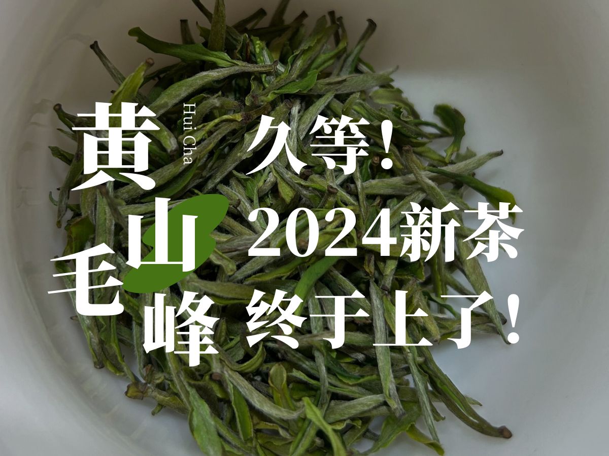 2024年的黄山毛峰终于上市了!没想到今年这么晚上,但是品质比去年更好!冲!哔哩哔哩bilibili