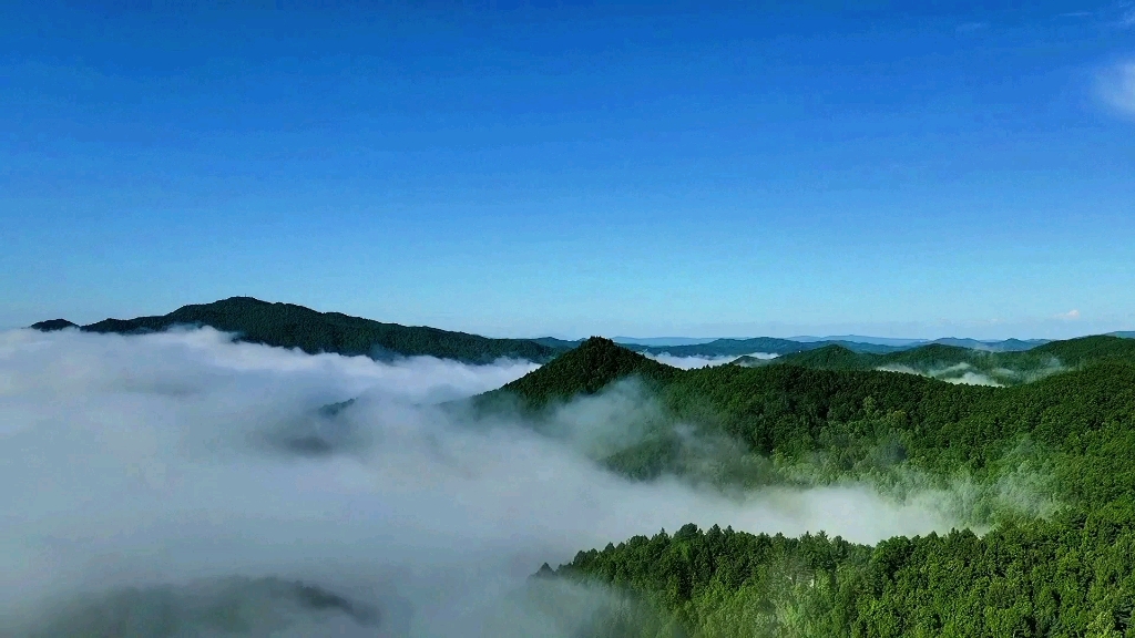 黑龙江伊春小兴安岭五日游旅游攻略哔哩哔哩bilibili