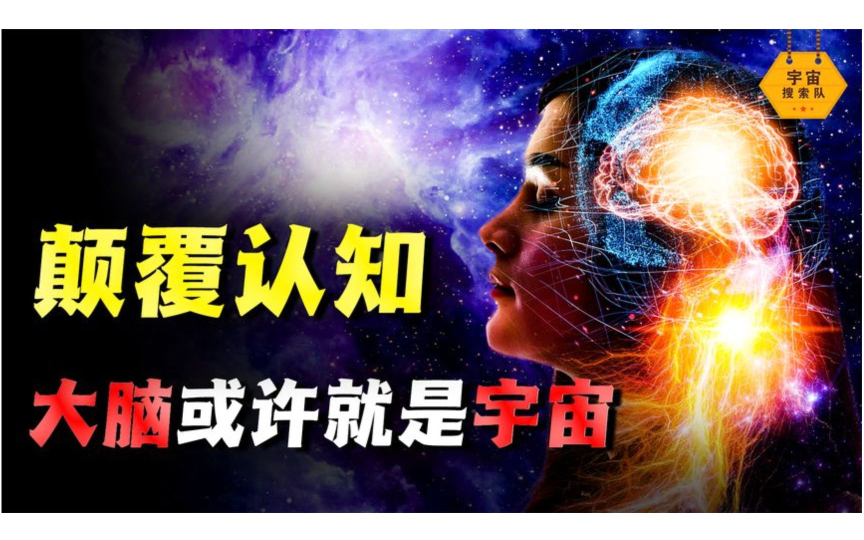 你有过似曾相识的感觉吗?宇宙与大脑结构相似,大脑或许就是宇宙哔哩哔哩bilibili