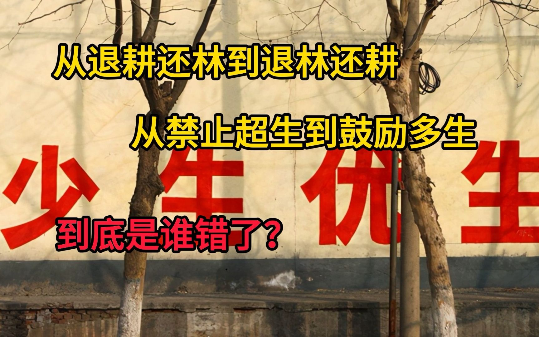 从退耕还林到退林还耕,从禁止超生到鼓励多生,到底是谁错了?哔哩哔哩bilibili