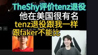 Download Video: TheShy评价tenz退役，以LPL的话跟我退役差不多，但跟faker不能比，这下爆了 ysjl