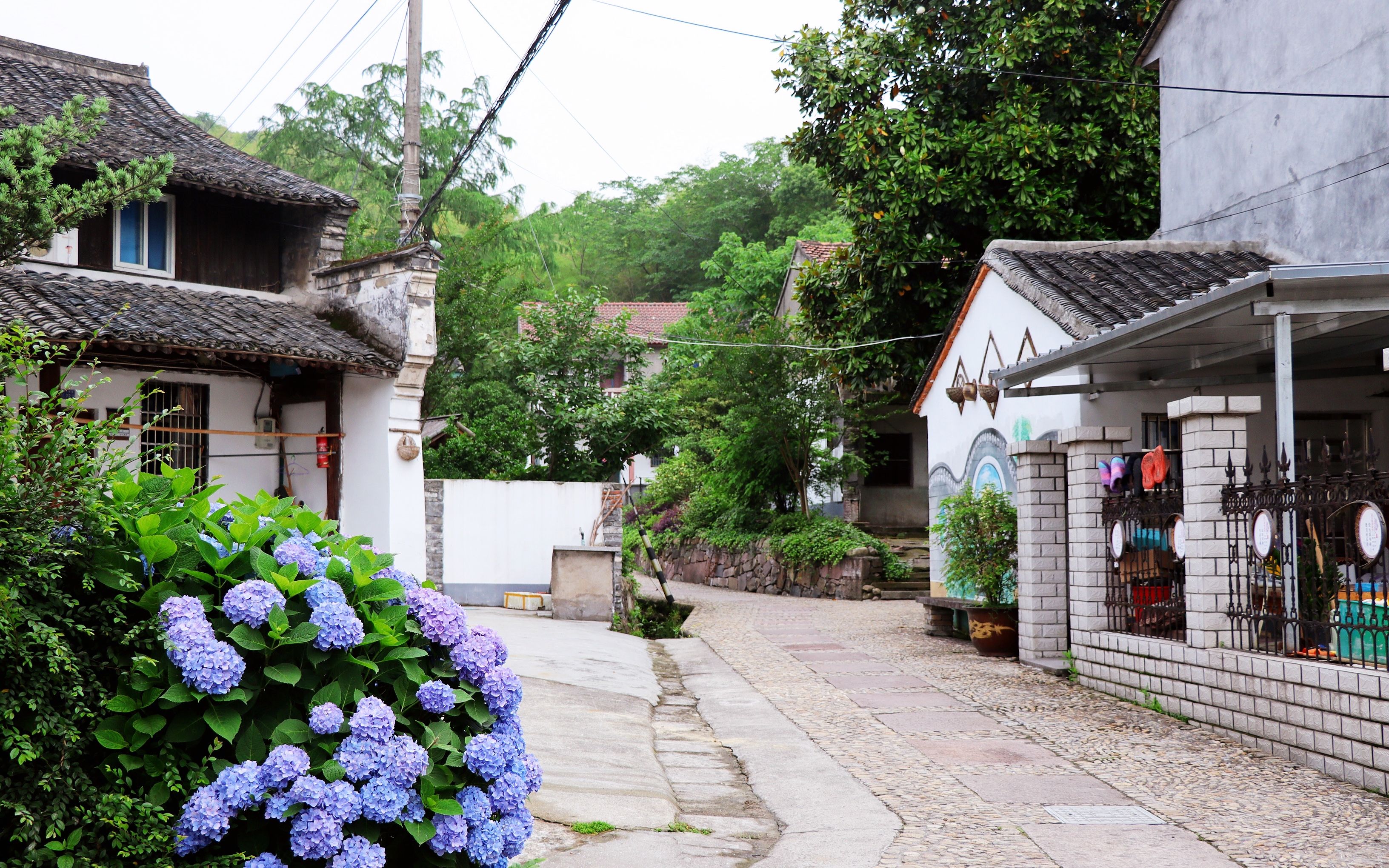 宁波山下庄村旧貌换新颜新增许多景观堪称时代博物馆太美了