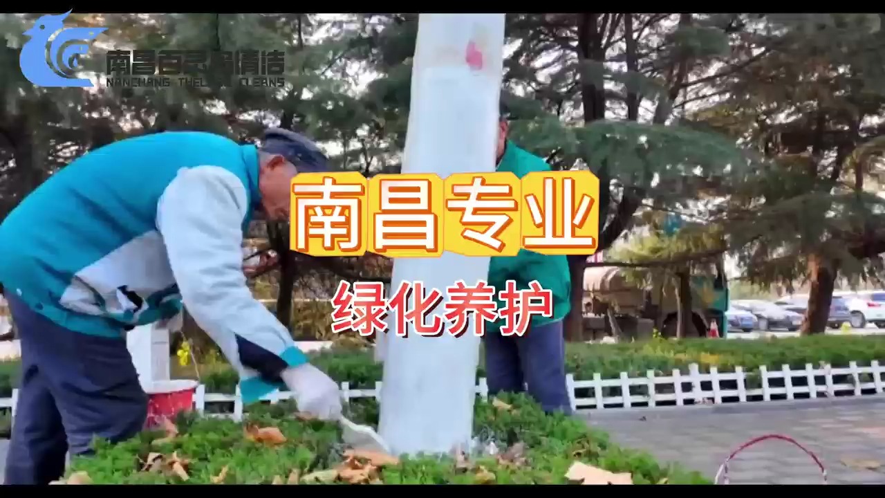 南昌专业绿化养护哔哩哔哩bilibili