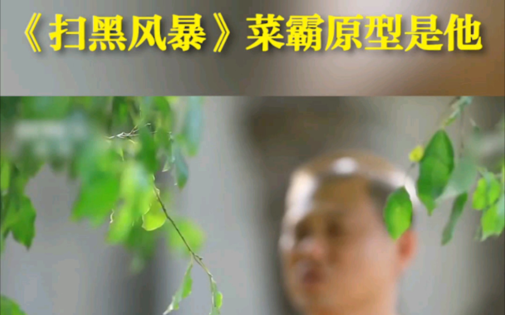 活动作品扫黑风暴菜霸原型竟是他