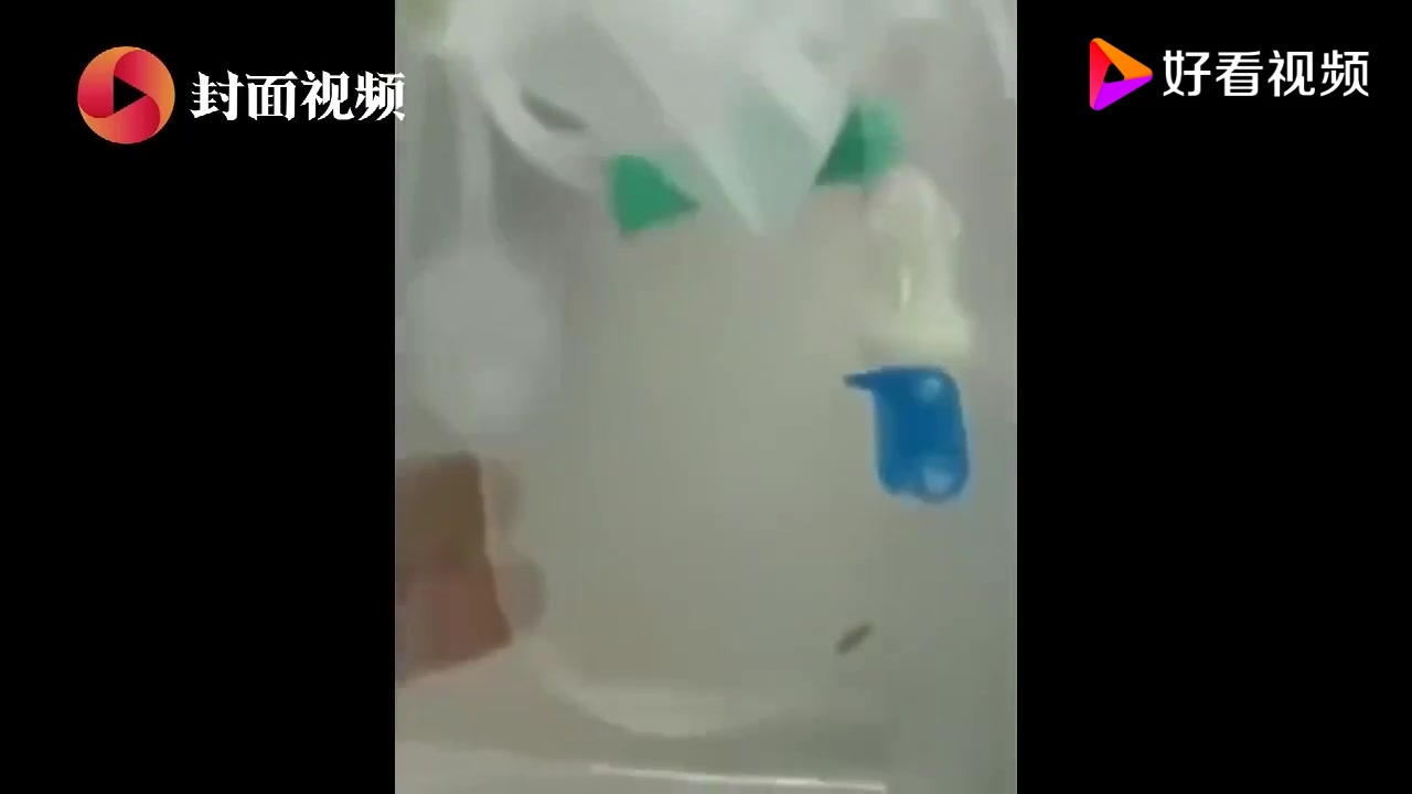 一幼儿输液时家长发现输液管里有条虫 医院:已受理投诉哔哩哔哩bilibili