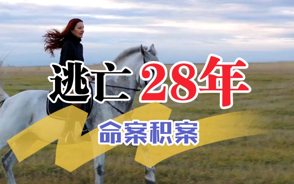 内蒙古赤峰市元宝山区/案发时间1991年9月归案时间2019年10月《逃亡28年的凶手》全集哔哩哔哩bilibili