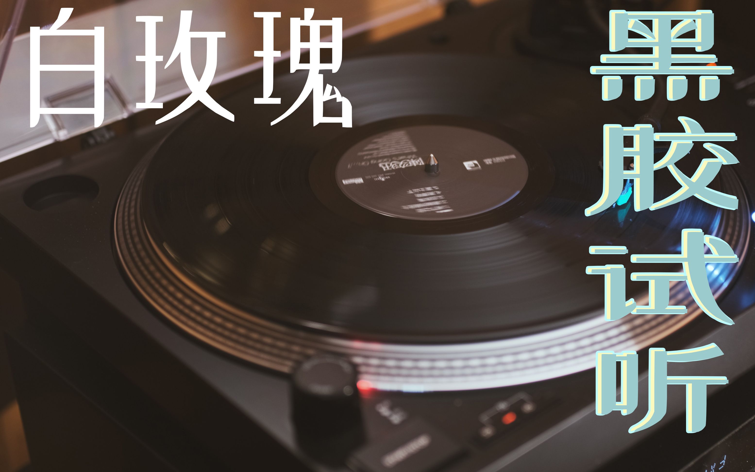 【黑胶试听】白玫瑰——陈奕迅_哔哩哔哩_bilibili