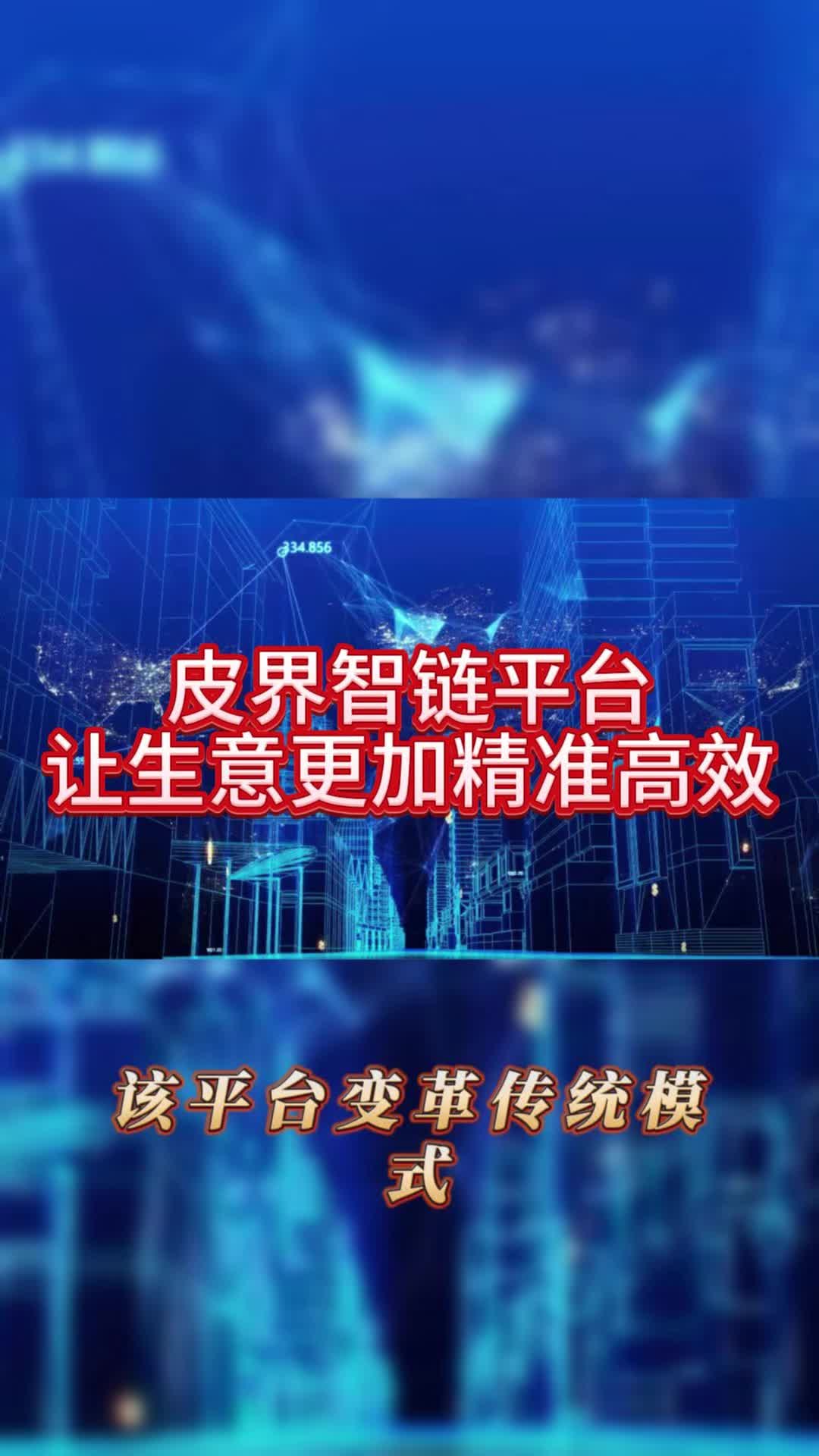 皮界智链平台,让生意更加精准高效哔哩哔哩bilibili