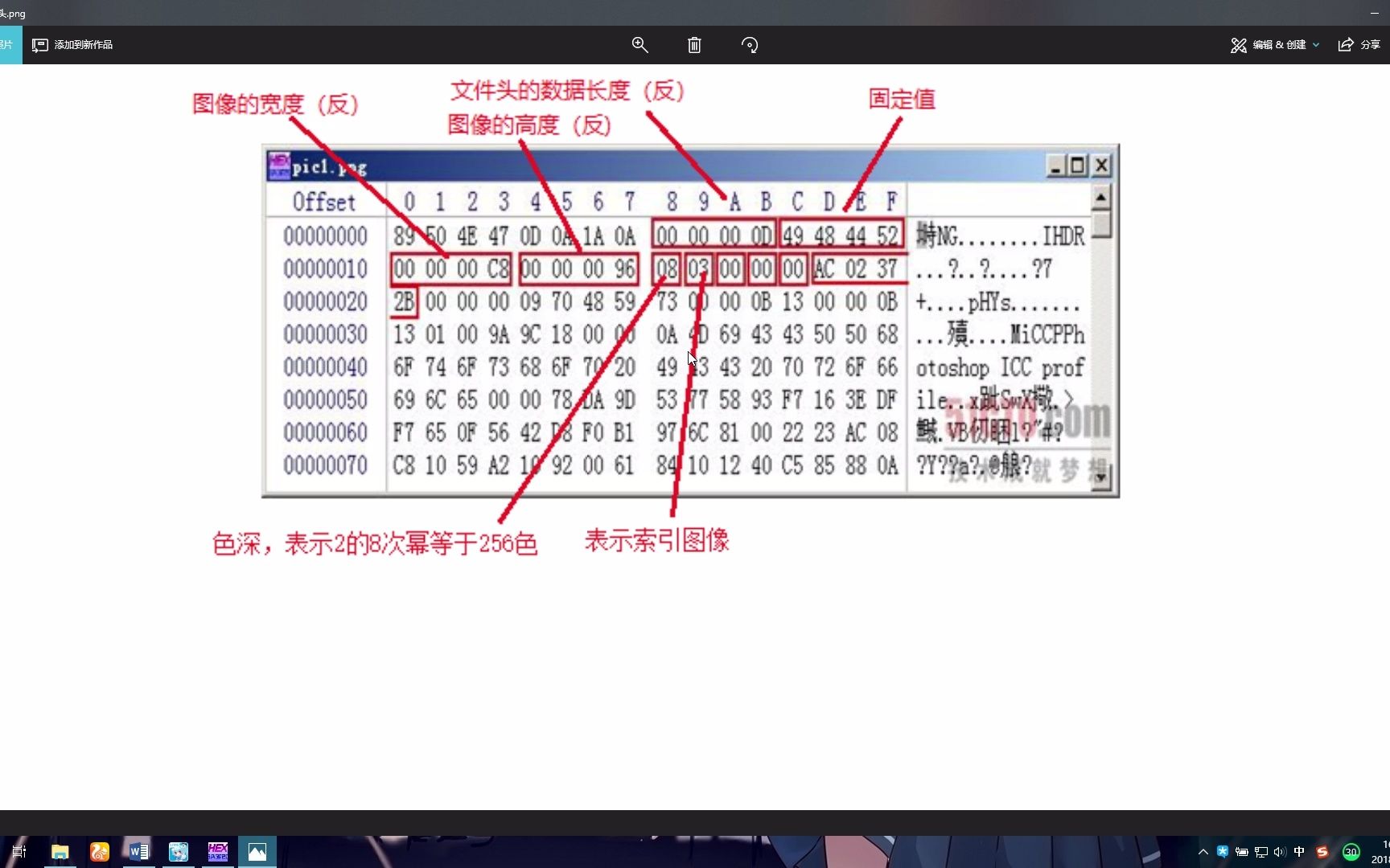 25.PNG格式文件头分析哔哩哔哩bilibili