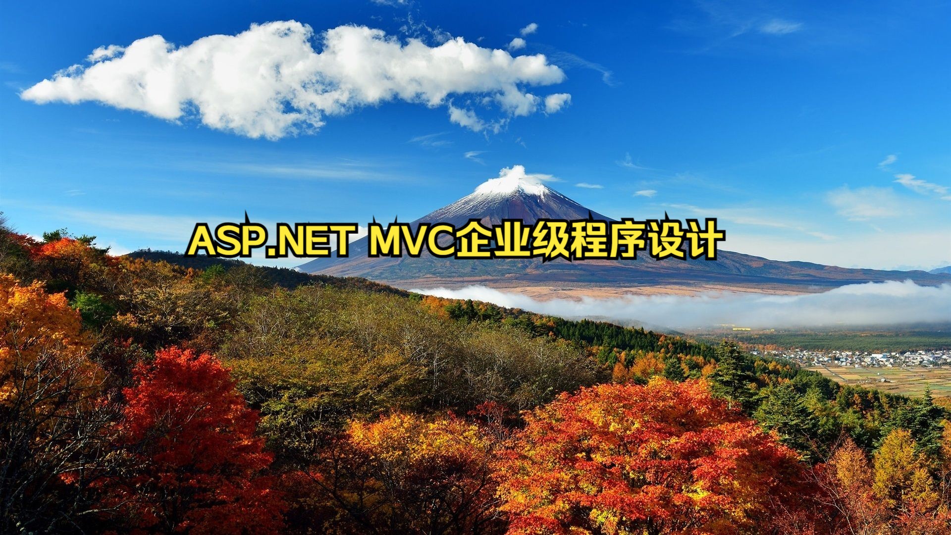 [图]ASP.NET MVC企业级程序设计 T12