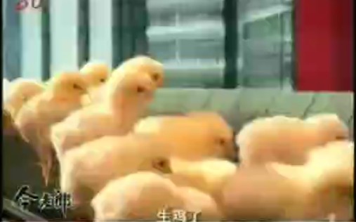 【中国大陆广告】东三福2009年(升级篇)15秒哔哩哔哩bilibili