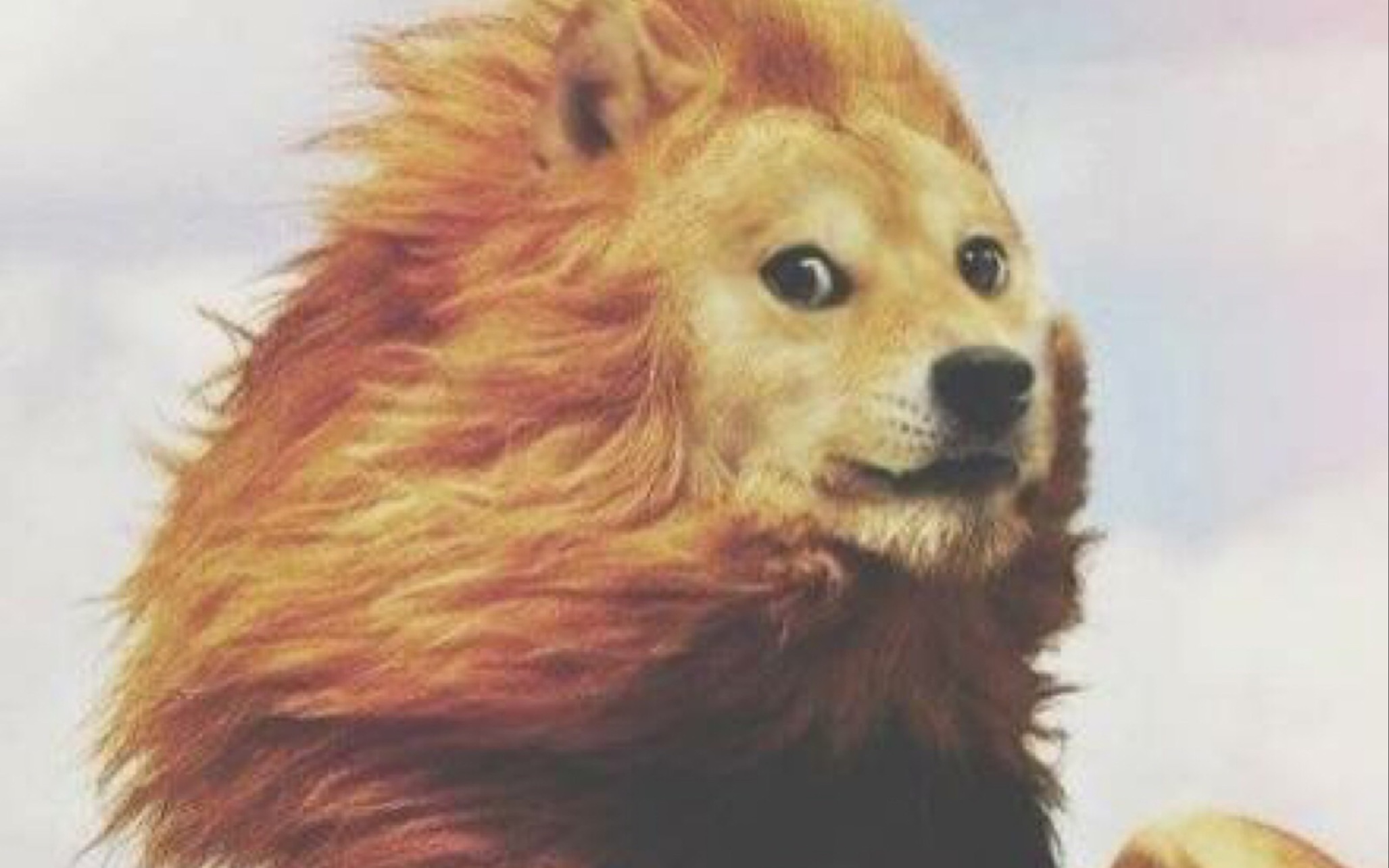 史上最贱狮子狗_英雄联盟手游