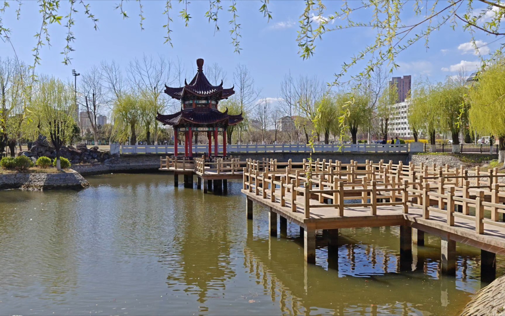 相逢东秦之春-shot on oppo findx6 pro