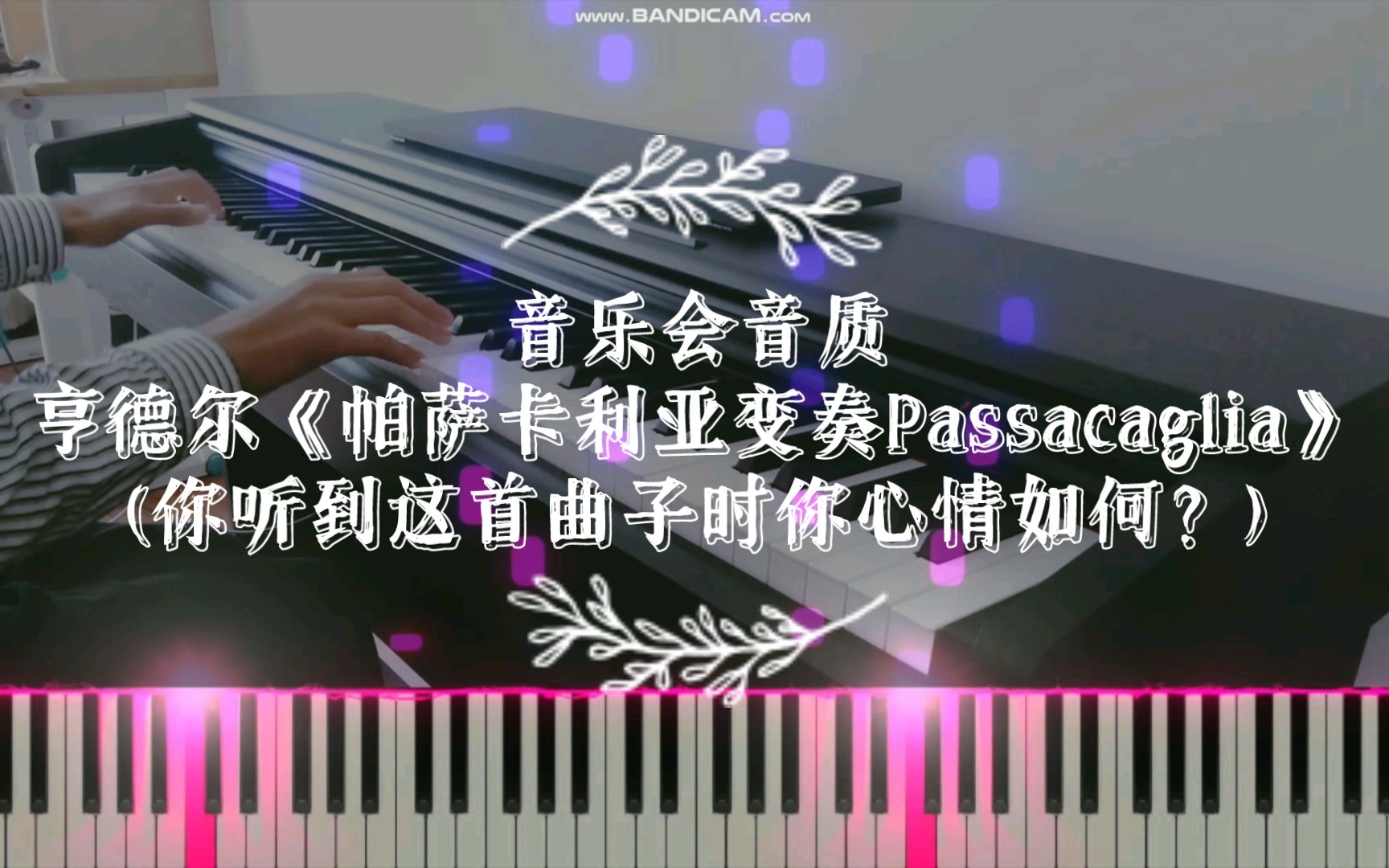 [图]音乐会音质:亨德尔《帕萨卡利亚变奏Passacaglia》(你听到这首曲子时你心情如何?)