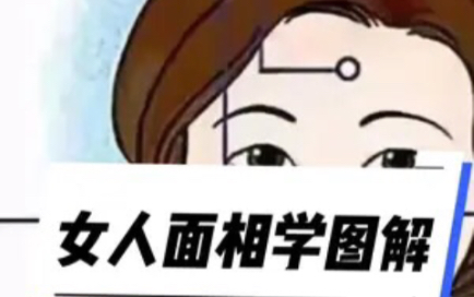 【面相解读】女人面相图解哔哩哔哩bilibili