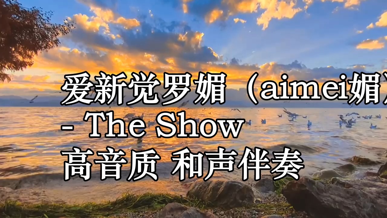 爱新觉罗媚(aimei媚)  The Show 高音质 和声伴奏哔哩哔哩bilibili