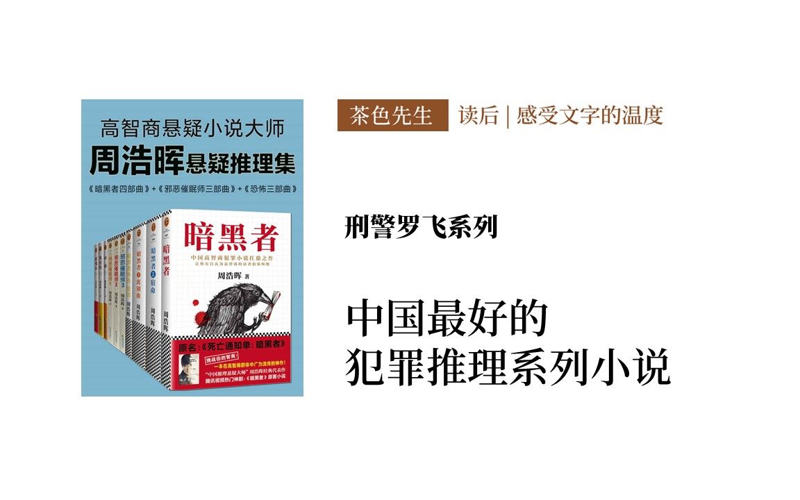 书单 | 中国最好的犯罪推理系列小说 | 刑警罗飞系列哔哩哔哩bilibili