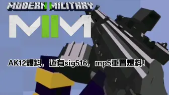 Download Video: [Minecraft我的世界]现代军事AK12动画还有大弹鼓爆料，还有sig516，mp5重置等