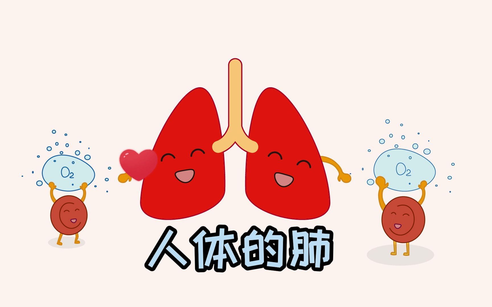 【生物学4】#人体科普 #人体的肺 重要的呼吸器官哔哩哔哩bilibili