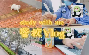 Download Video: 公大Vlog | 偶遇猫猫 | 秋日学习 | 柿子成熟 | 长衬新穿法