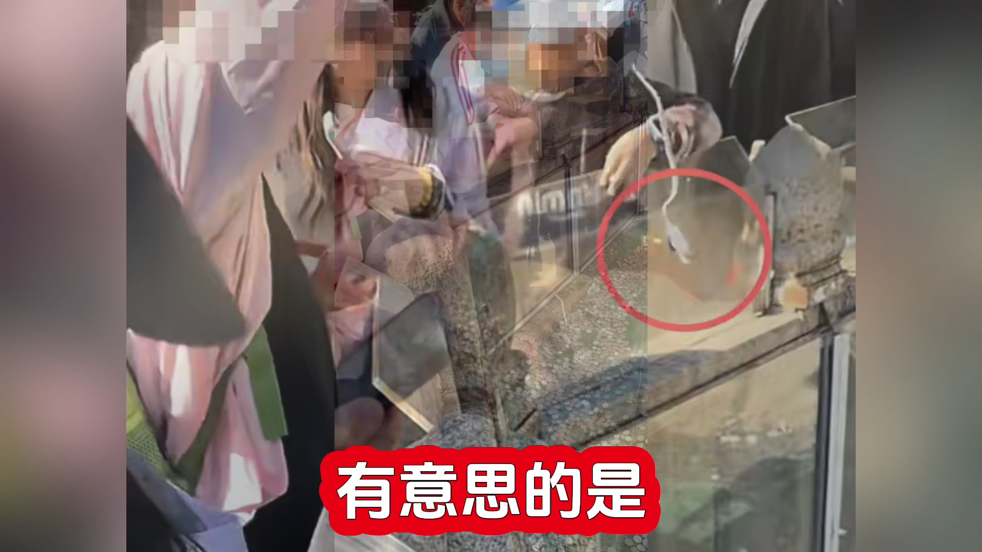泰山许愿池！孩子用手表充电器磁铁捞硬币，网友吵翻 脑洞大开？十几岁孩子拿磁铁充电器，在许愿池打捞许愿币