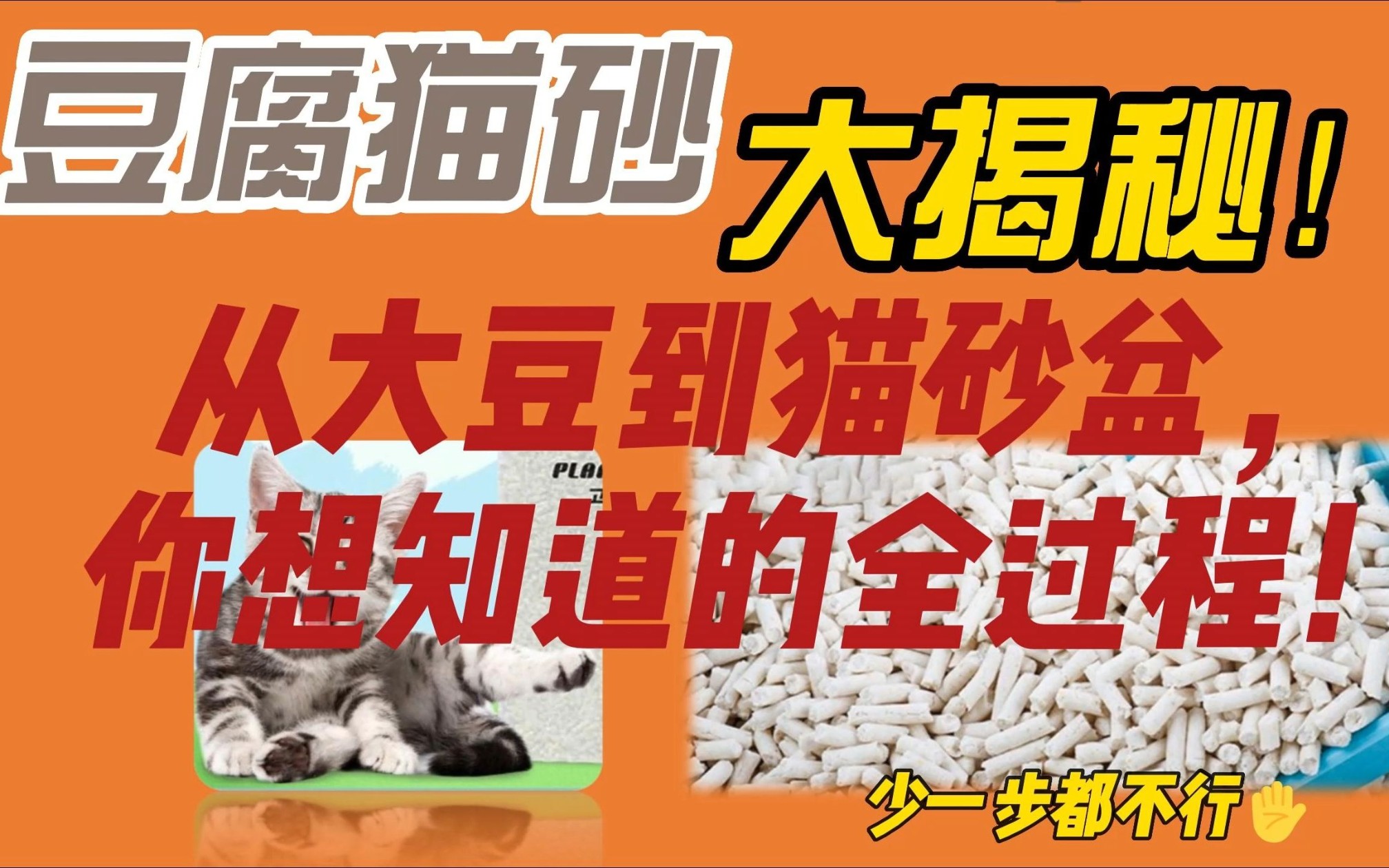 豆腐猫砂大揭秘:从大豆到猫砂盆,你想知道的全过程!哔哩哔哩bilibili