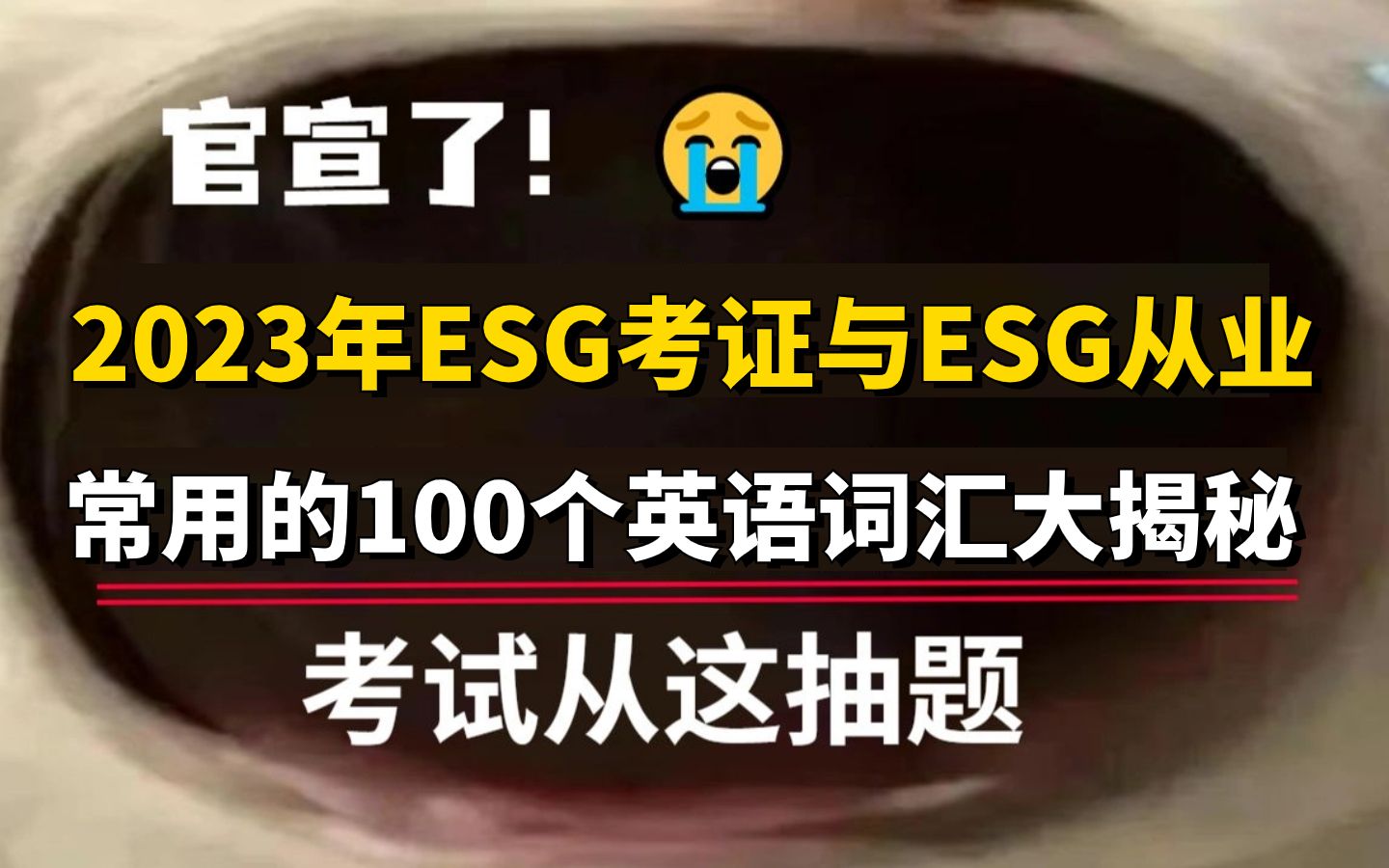 ESG常见的100个英语词汇,行业黑化,我不准你不知道!哔哩哔哩bilibili