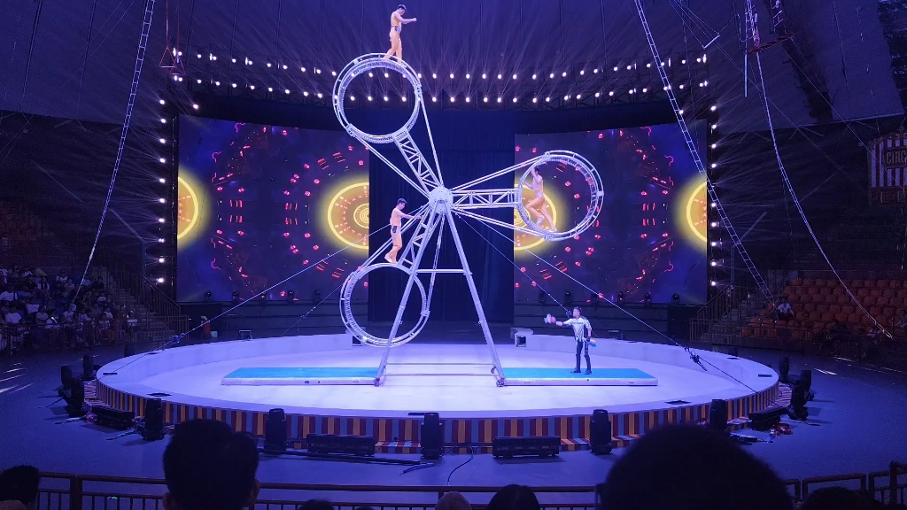 【马戏团表演】