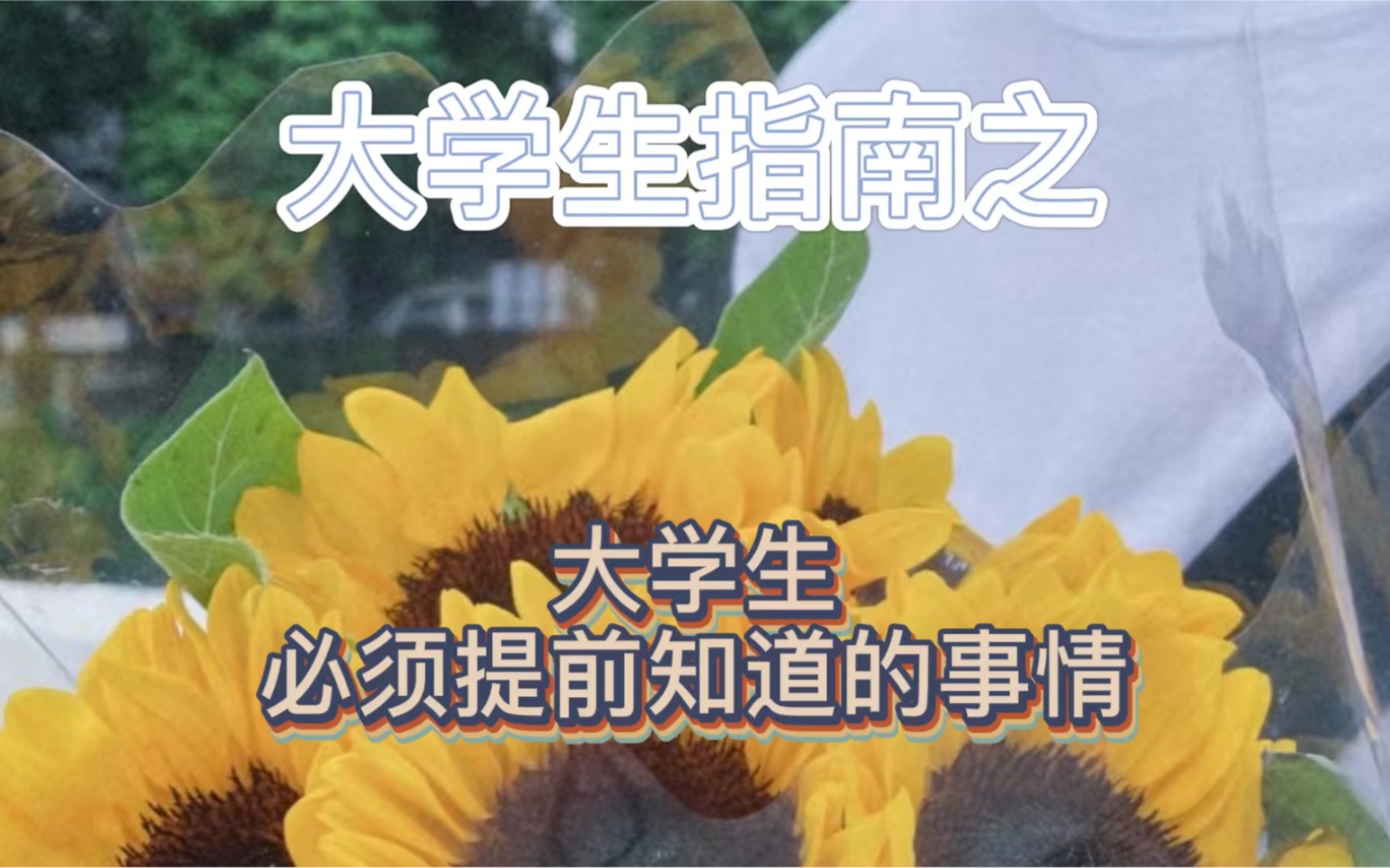 给各位在校大学生的建议!哔哩哔哩bilibili