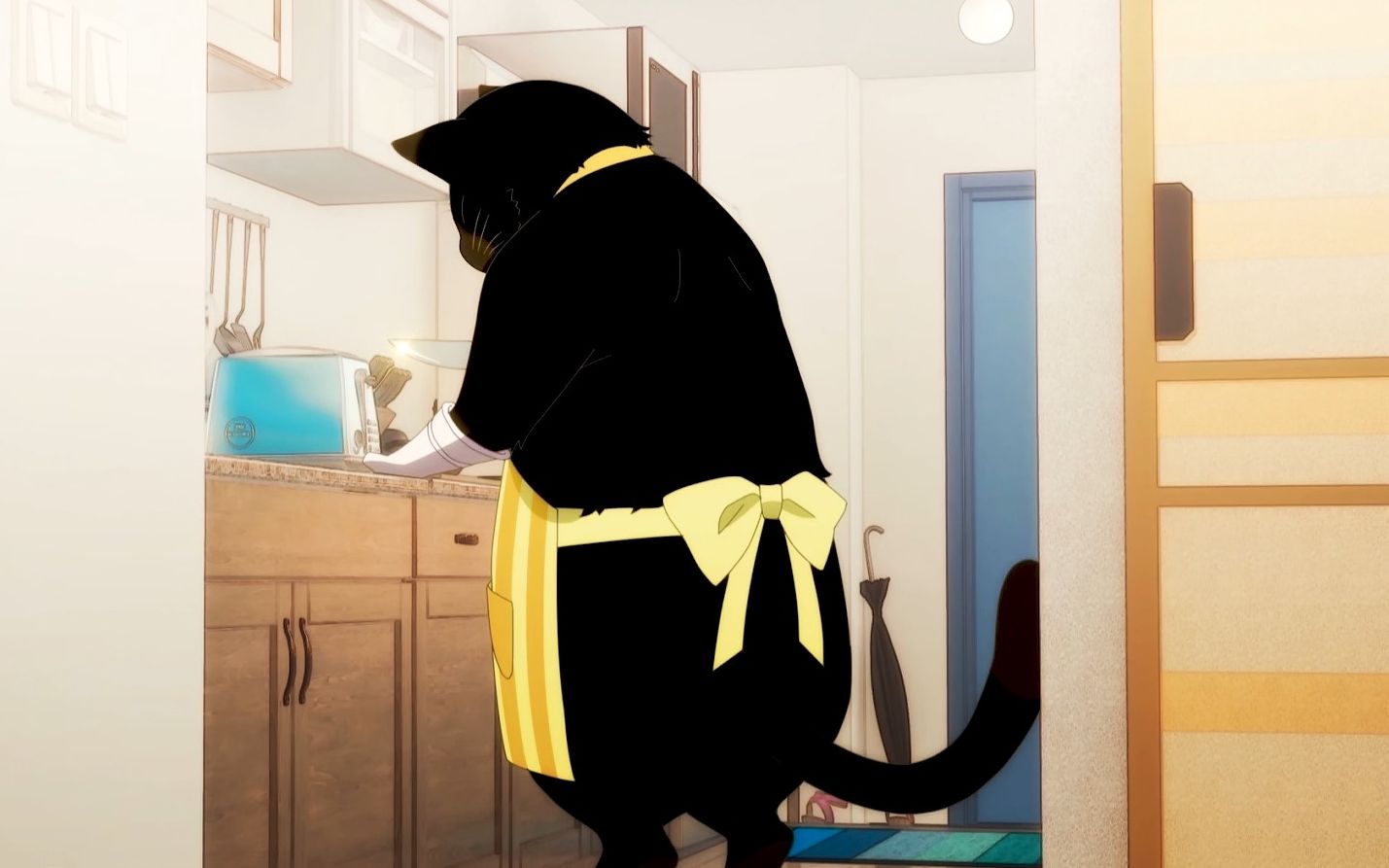 你想要一只会做家务的猫吗?