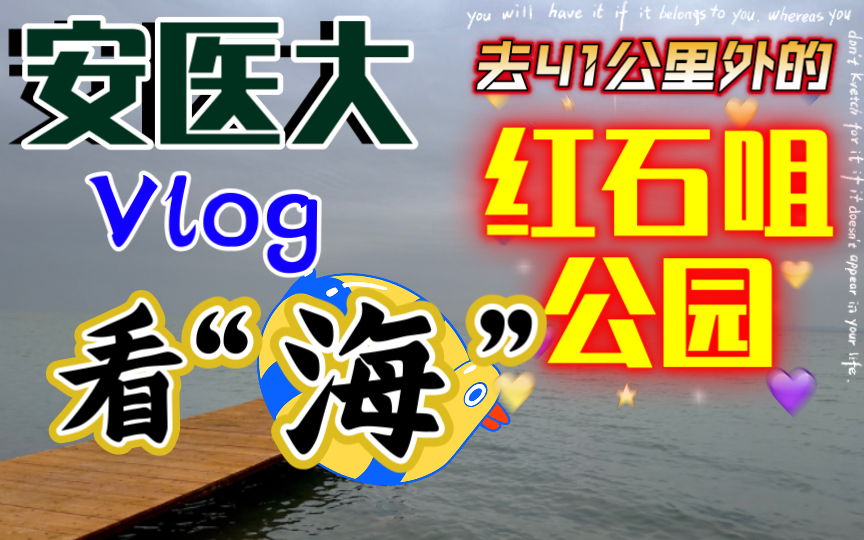 【安医大Vlog】去41公里外的红石咀公园看“海”!最难的药理学实验来了!一次又一次的爱上了力行楼!红石咀公园结婚地浪漫美丽!哔哩哔哩bilibili