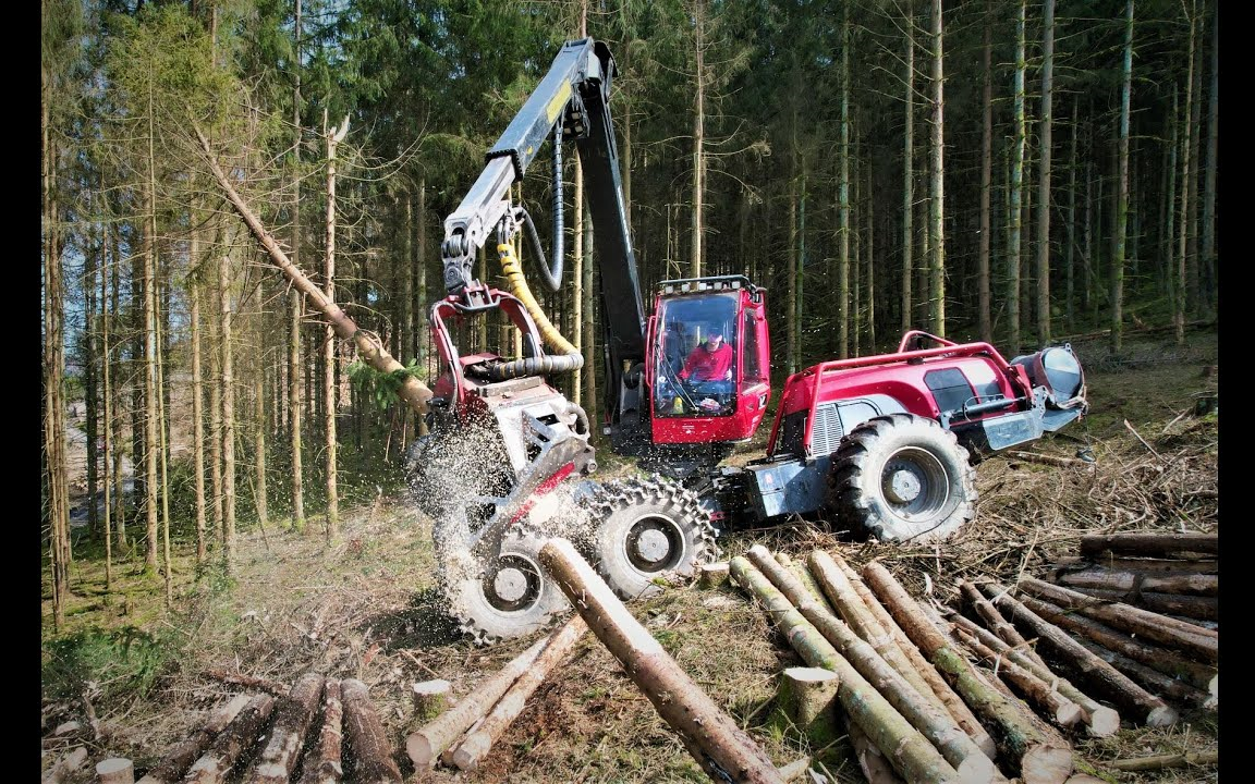 林业机械komatsu小松951轮式采伐机作业演示