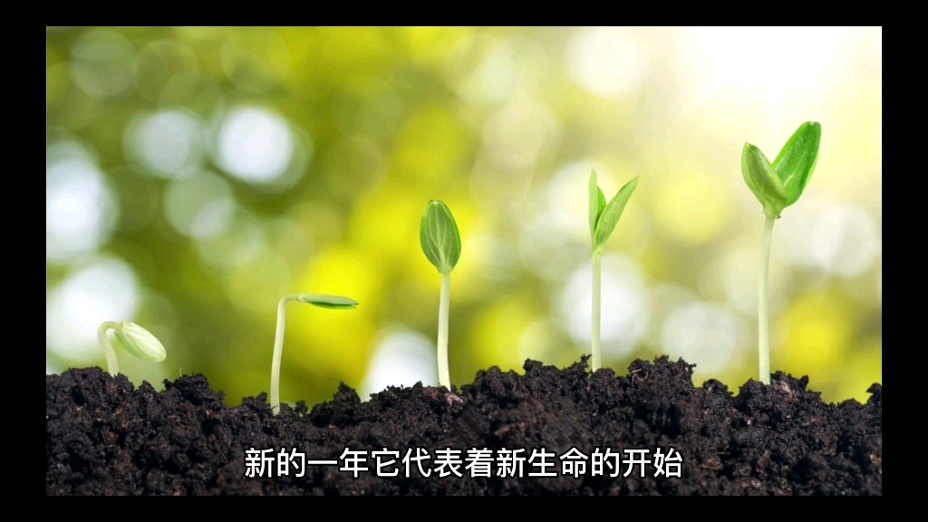新的一年,奋力前行!