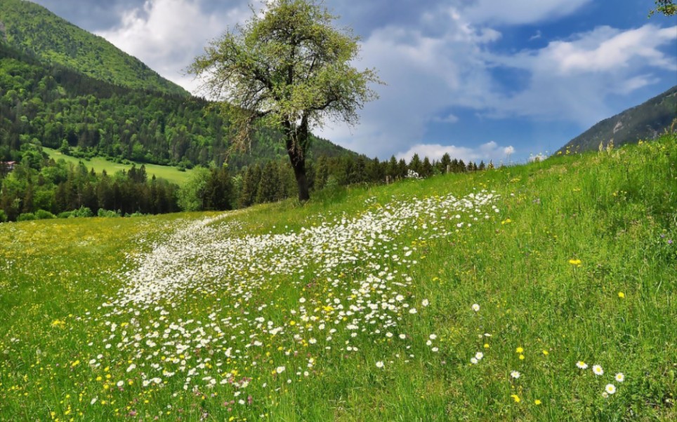 春日心情美滋滋