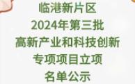 临港新片区2024年第三批高新产业和科技创新专项项目立项名单公示哔哩哔哩bilibili