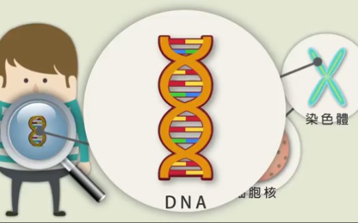 [图]儿童智慧教育： DNA 基因与生命